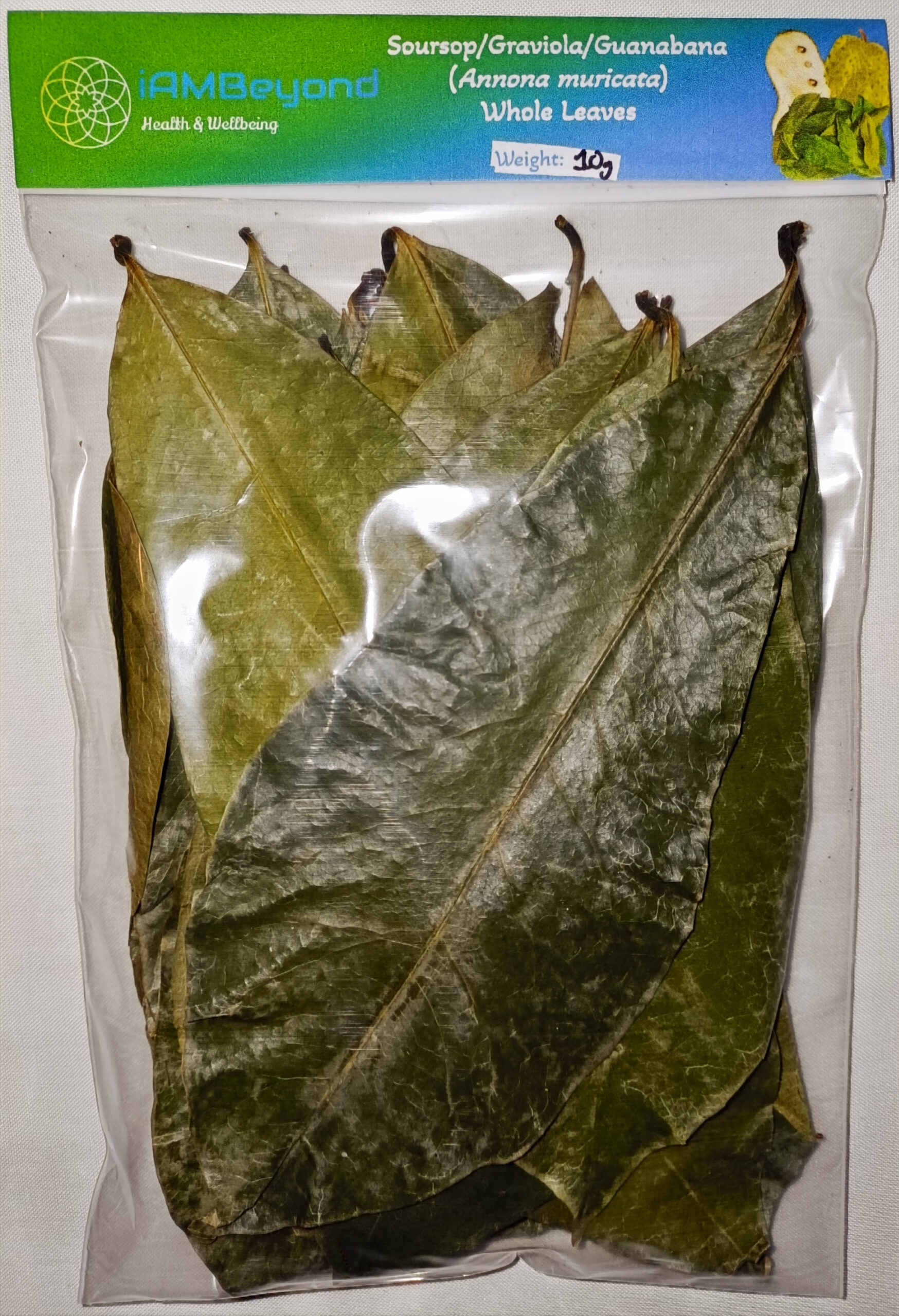 Organic Soursop Leaves (by leaf-count) [Guanabana/Graviola/Guyabano/Annona]