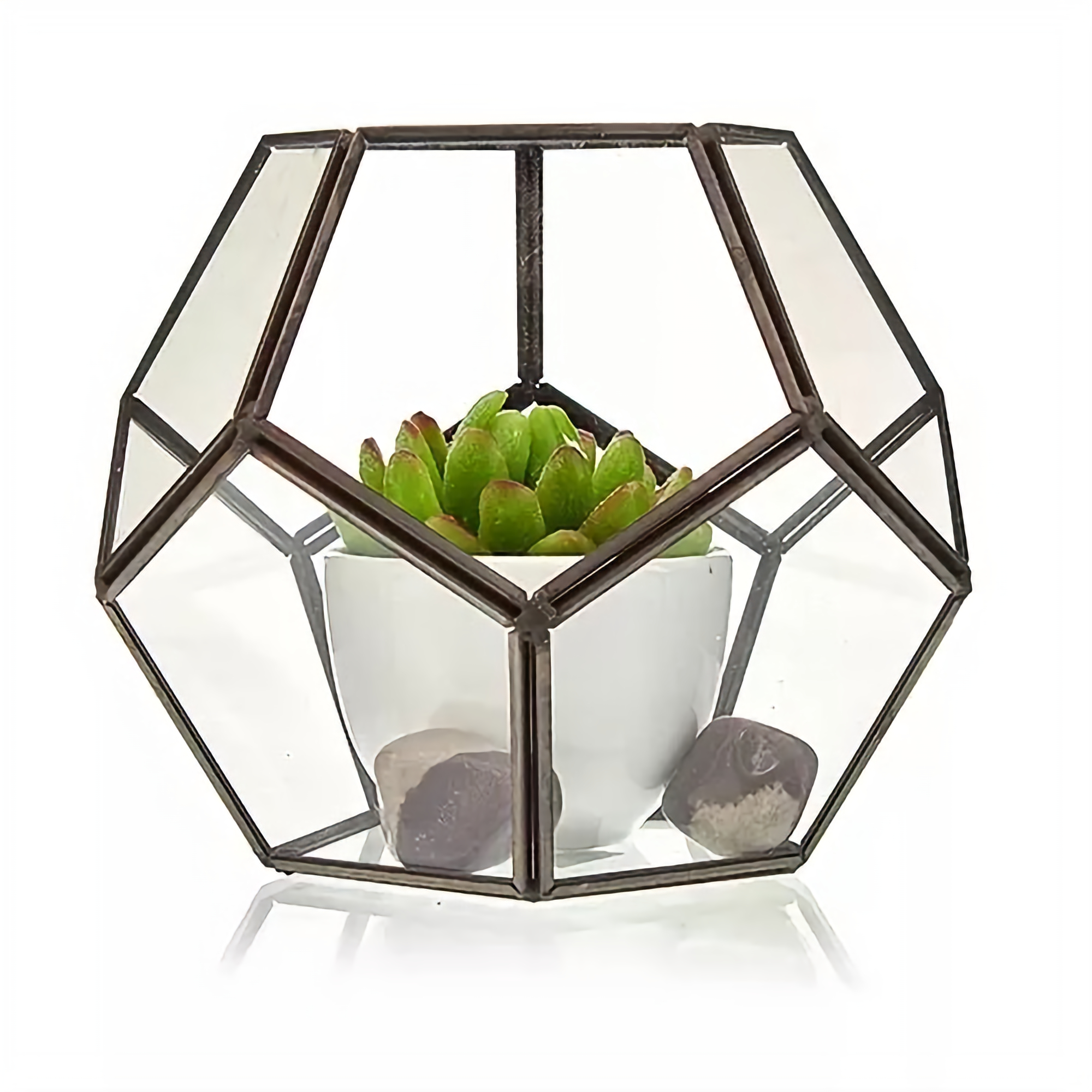 Geometric Terrarium (Large Octagon) - Glass/Brass, Freestanding/Hanging