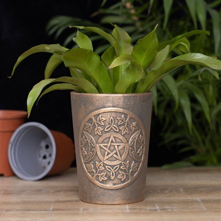 Bronze Terracotta Plant Pots by Lisa Parker