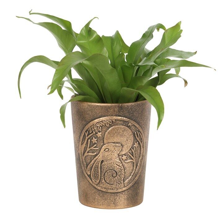 Bronze Terracotta Plant Pots by Lisa Parker