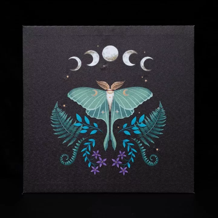 'Lunar Moth' LED Light Up Canvas Plaque