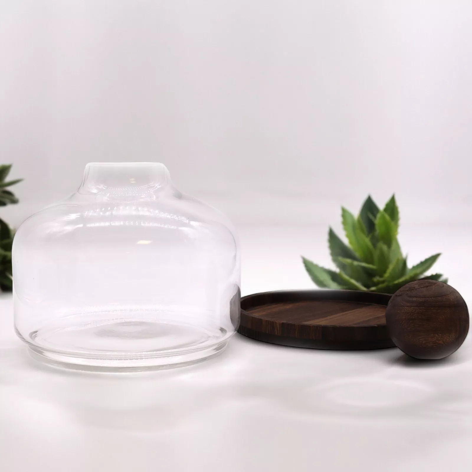 Ball-top Terrarium (Glass & Dark Tung Wood)