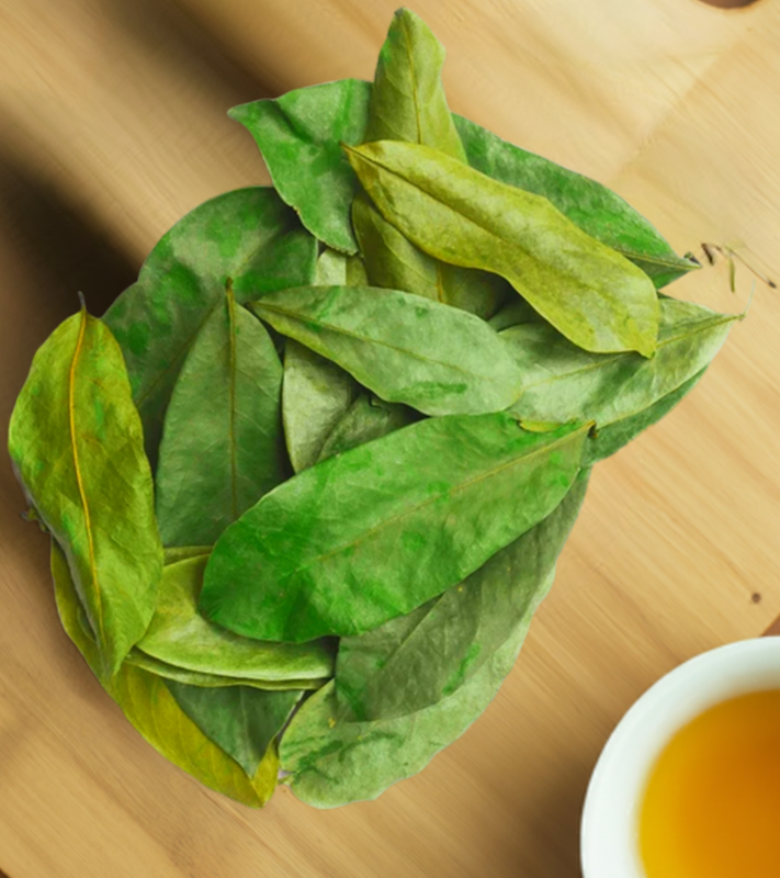 Organic Soursop Leaves (by leaf-count) [Guanabana/Graviola/Guyabano/Annona]