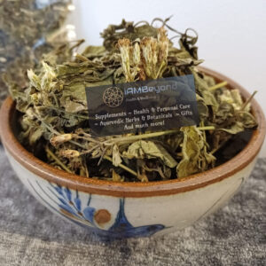 Whole Dried Mexican Dream Herb (Calea Zacatechichi) - Shamanistic Tools - Image 2