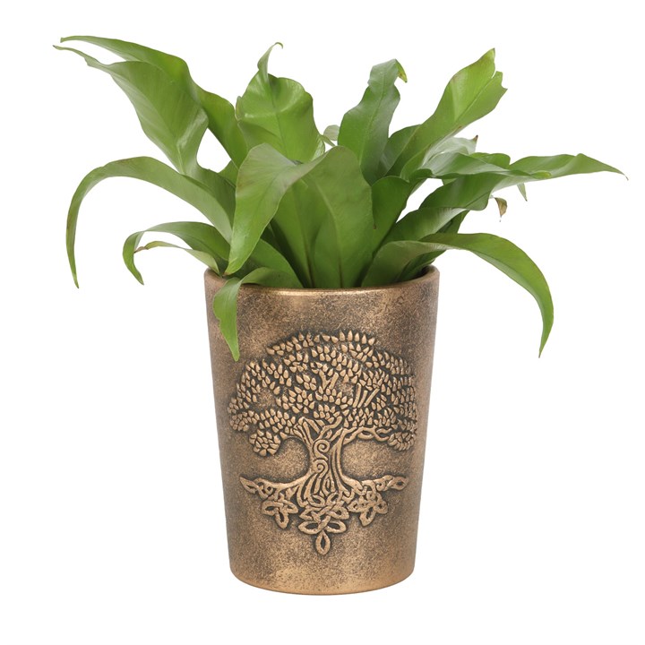 Bronze Terracotta Plant Pots by Lisa Parker