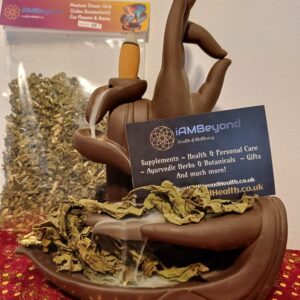 Whole Dried Mexican Dream Herb (Calea Zacatechichi) - Shamanistic Tools - Image 3