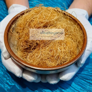A bowl of the nutrient-dense superfood Irish Golden Sea Moss