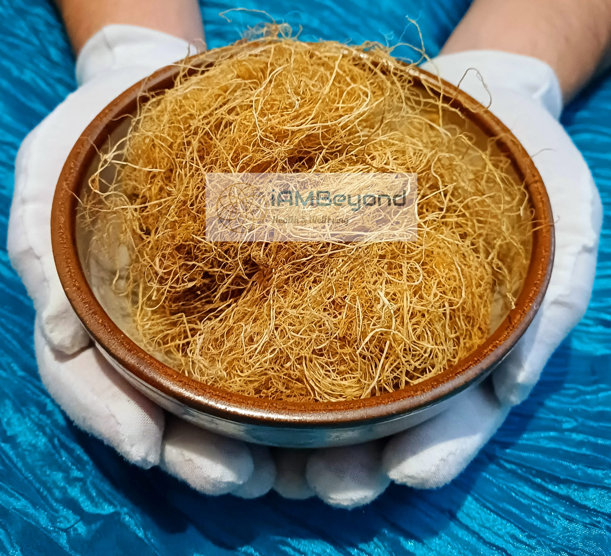 A bowl of the nutrient-dense superfood Irish Golden Sea Moss