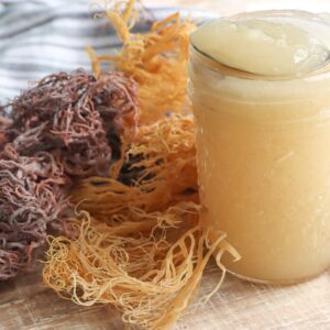 Raw Organic Dried Irish Sea Moss - (St Lucia) Wildcrafted & Sun-Dried - Image 2