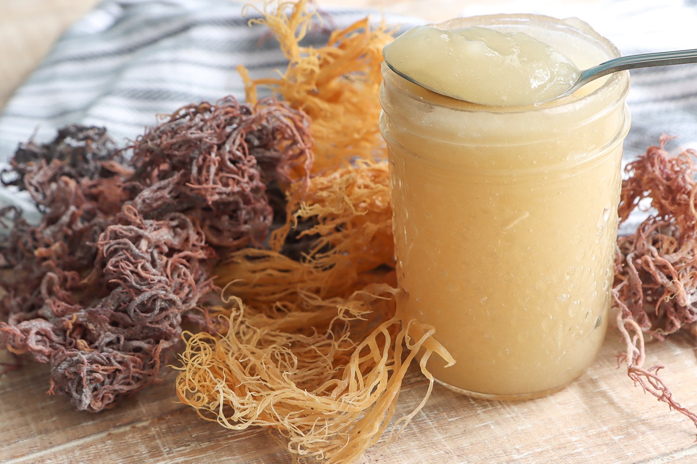 Raw Organic Dried Irish Sea Moss - (St Lucia) Wildcrafted & Sun-Dried