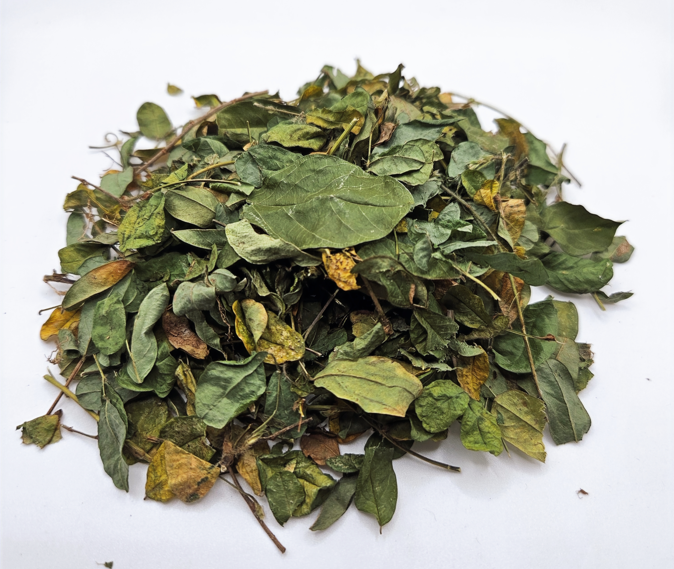 Organic Medina Bush | Strongback | Jamaican Herbal Tea | Men's Health