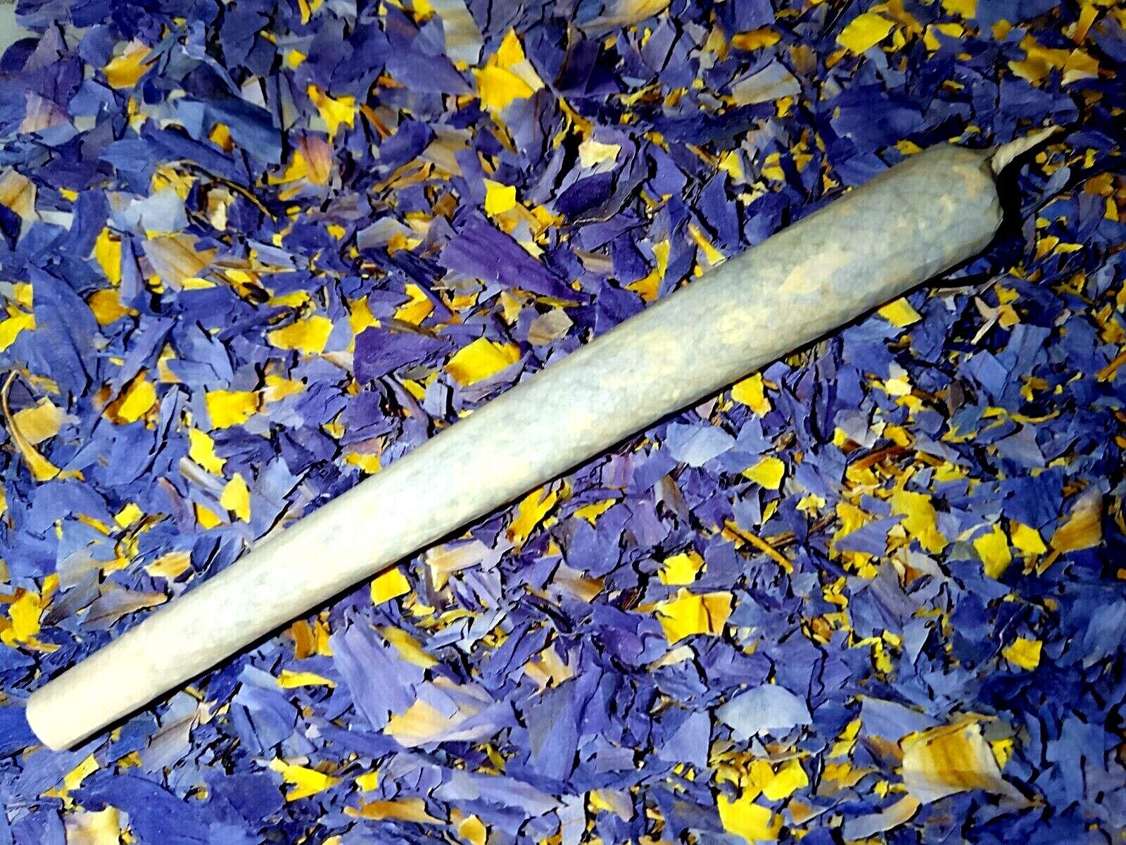 Blue Lotus Kingsize Pre Rolls (Nymphaea caerulea) Incense Cones