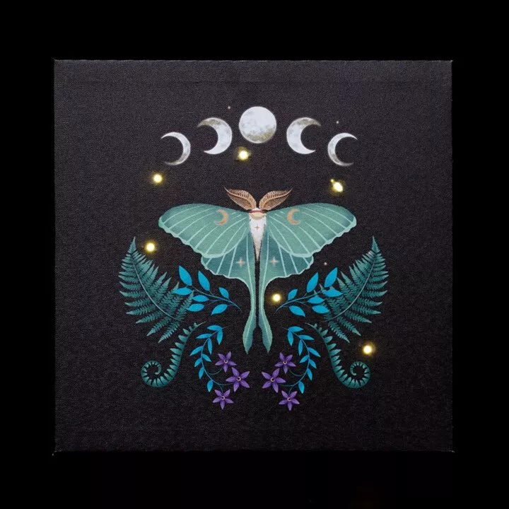 'Lunar Moth' LED Light Up Canvas Plaque