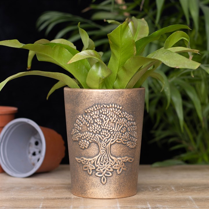 Bronze Terracotta Plant Pots by Lisa Parker