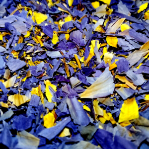 Blue Lotus (Whole Dried Flower - Loose) [Nymphaea Caerulea] - Image 4