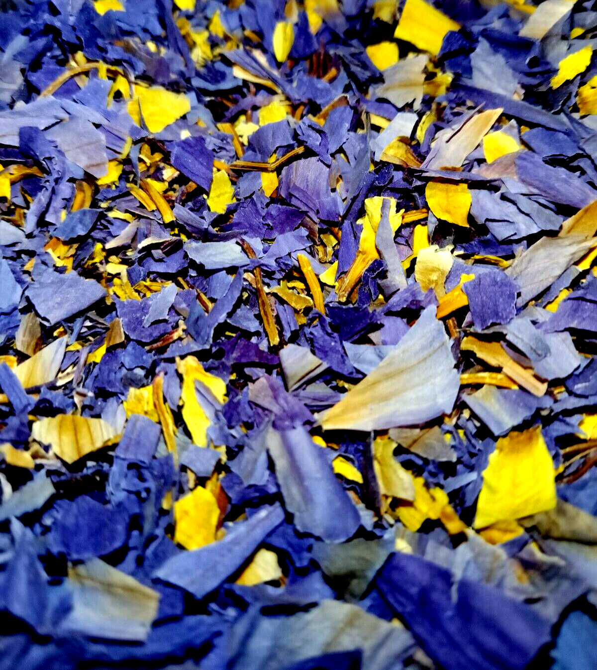 Blue Lotus (Whole Dried Flower - Loose) [Nymphaea Caerulea]