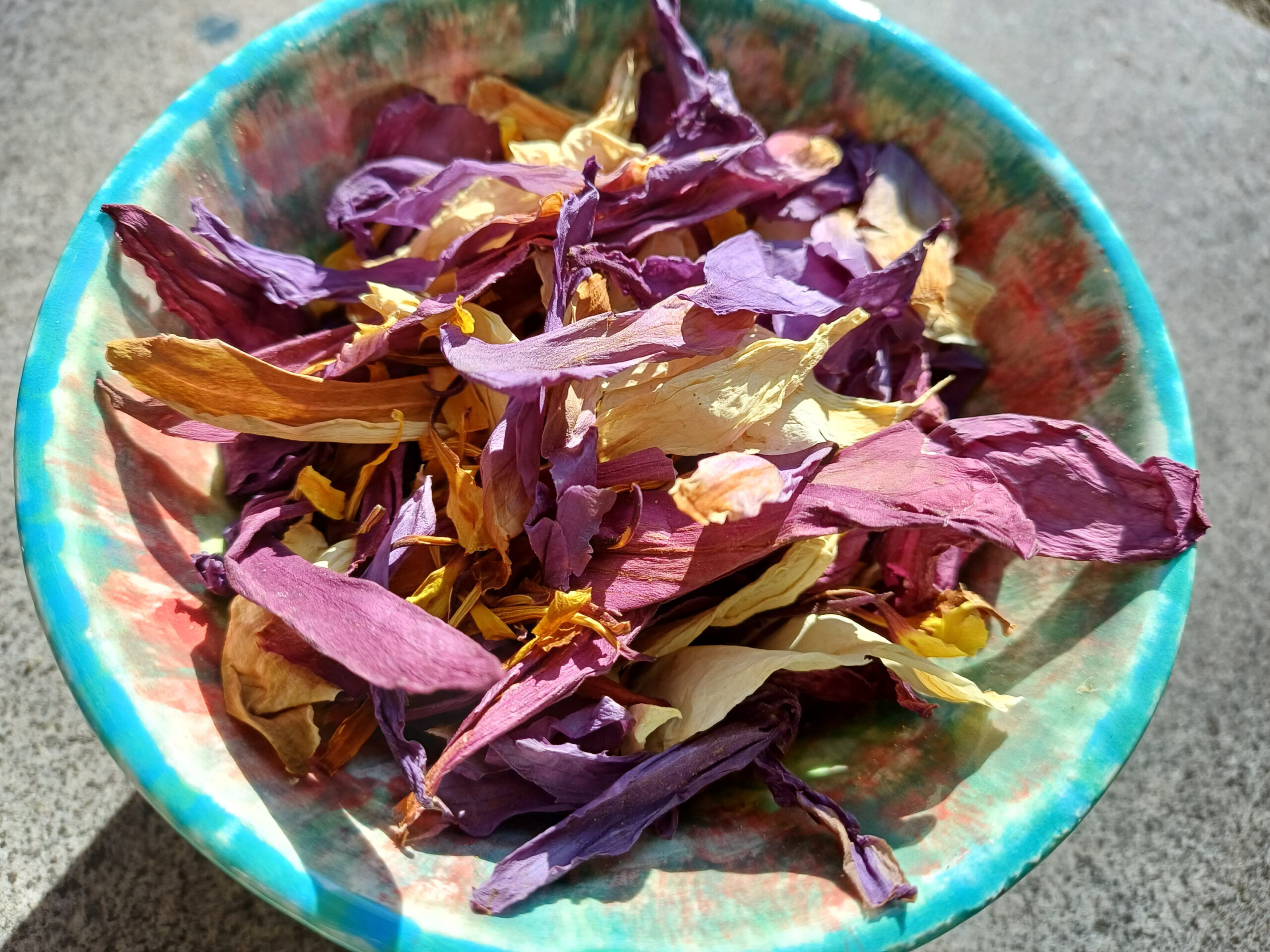 [Holy Trinity] Blue/Red/White Lotus Petals & Stamens - Anxiety Sleep Herbal Tea