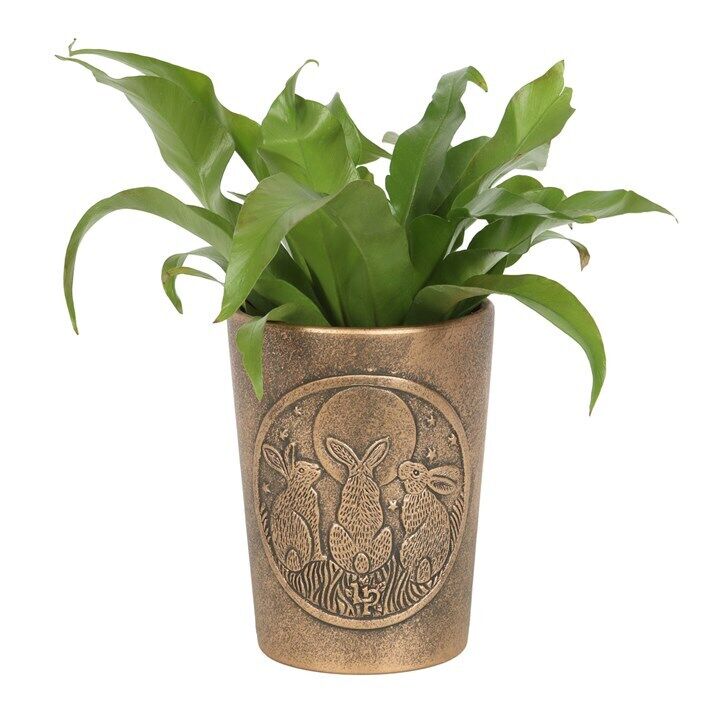 Bronze Terracotta Plant Pots by Lisa Parker