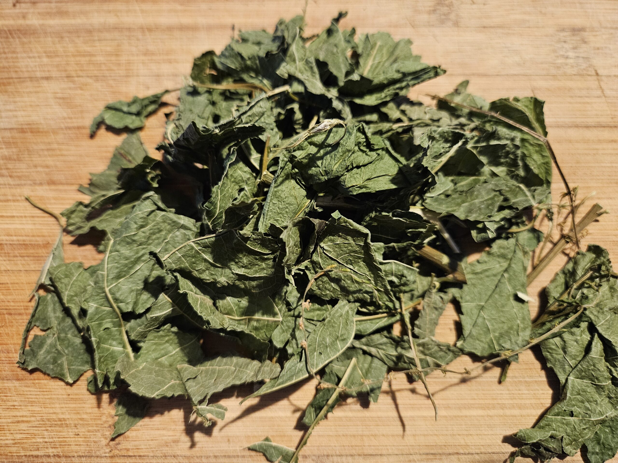 Guinea Hen Weed | Herbal Tea | Detox & Immunity | Fibroid PCOS Womb Cleanser