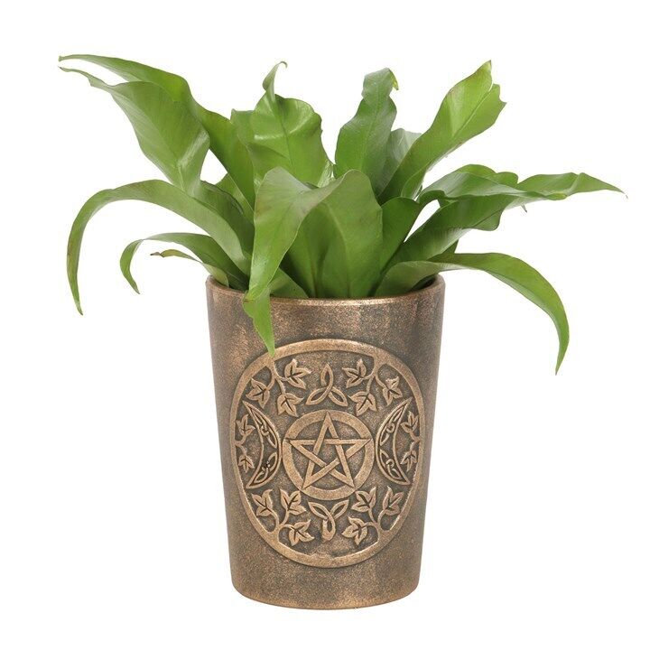 Bronze Terracotta Plant Pots by Lisa Parker