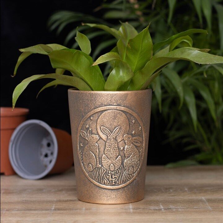 Bronze Terracotta Plant Pots by Lisa Parker
