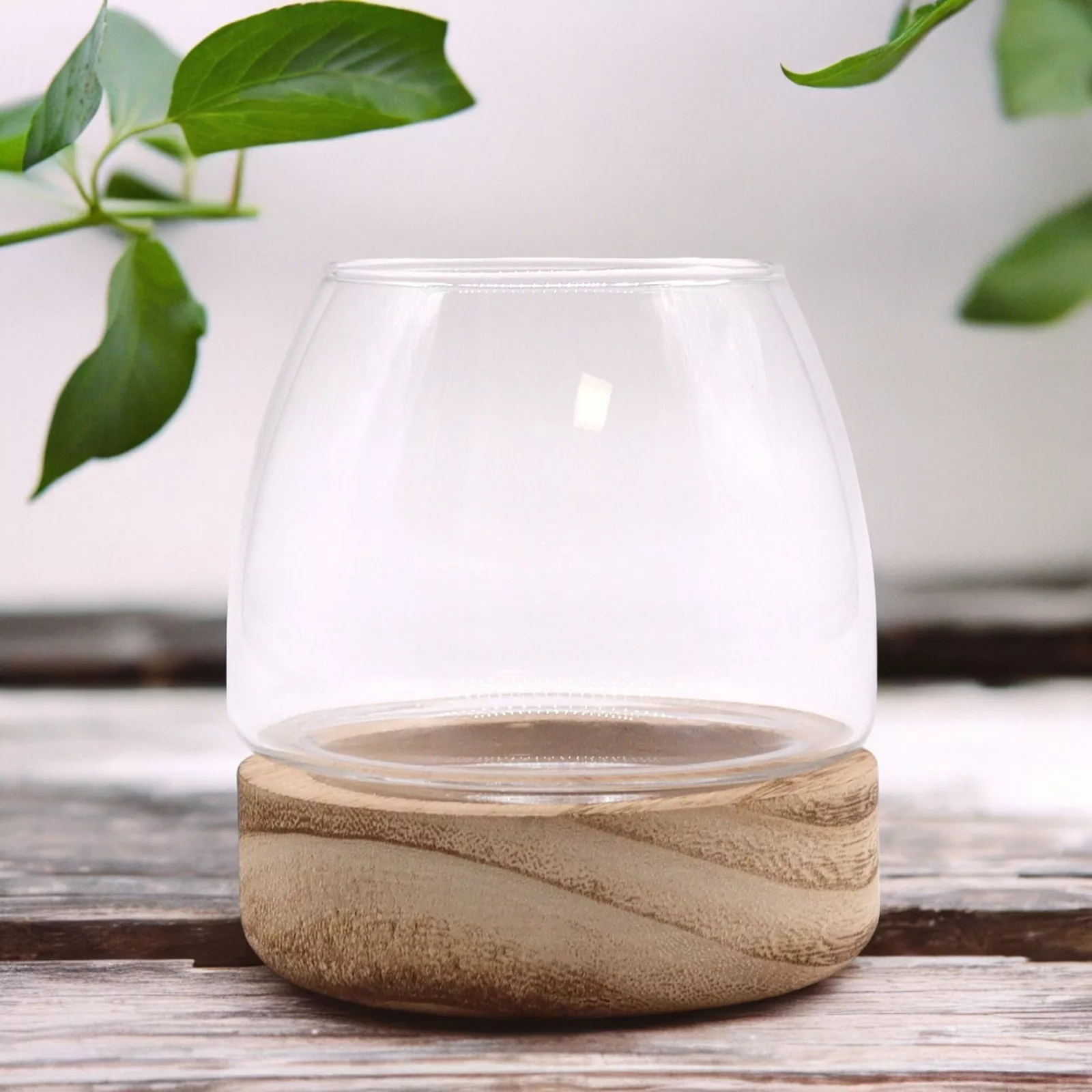 Glass & Tung Wood Terrarium (Freestanding)