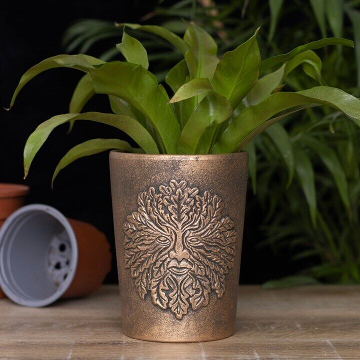 Bronze Terracotta Plant Pots by Lisa Parker