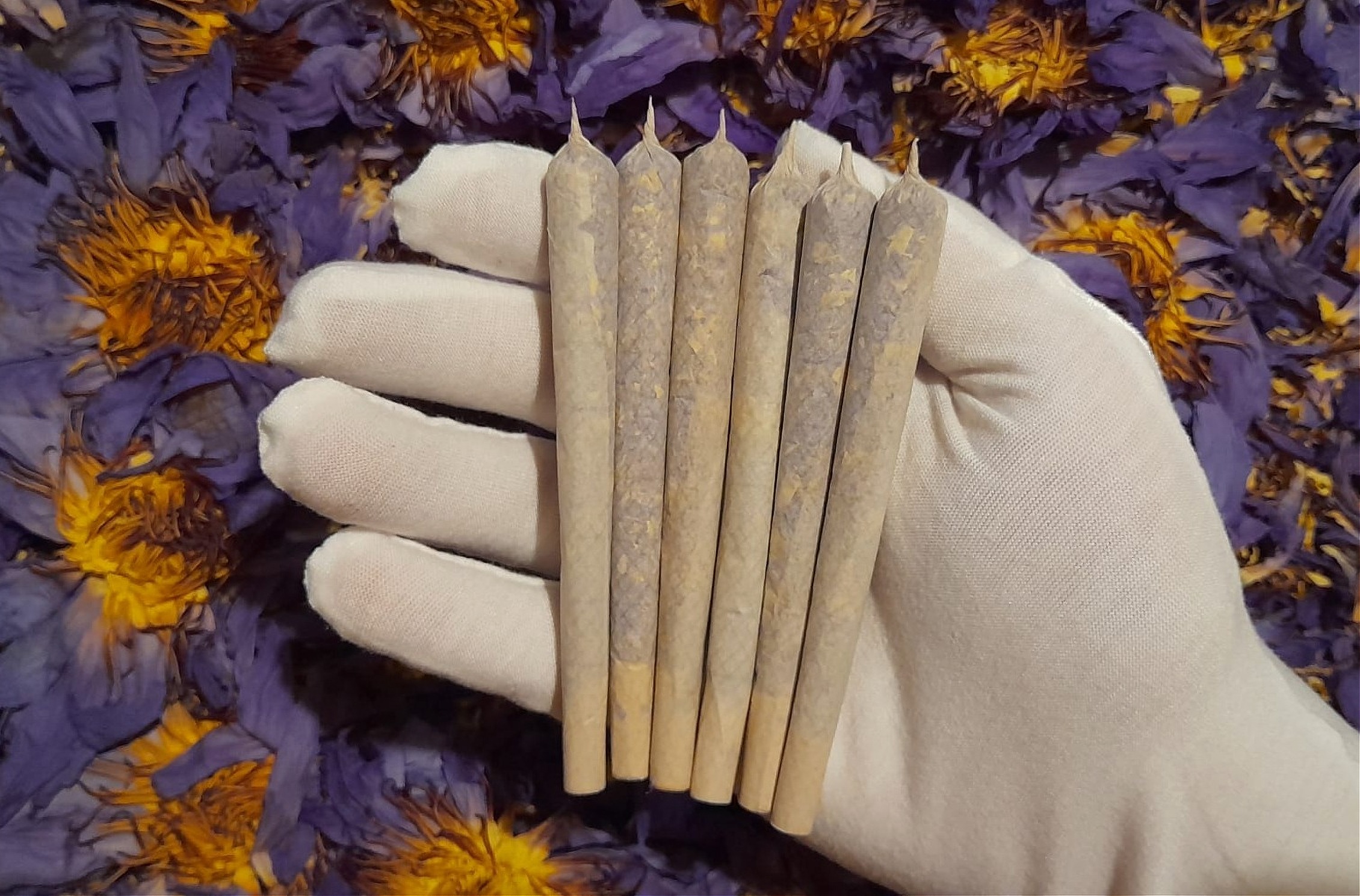 Blue Lotus Kingsize Pre Rolls (Nymphaea caerulea) Incense Cones