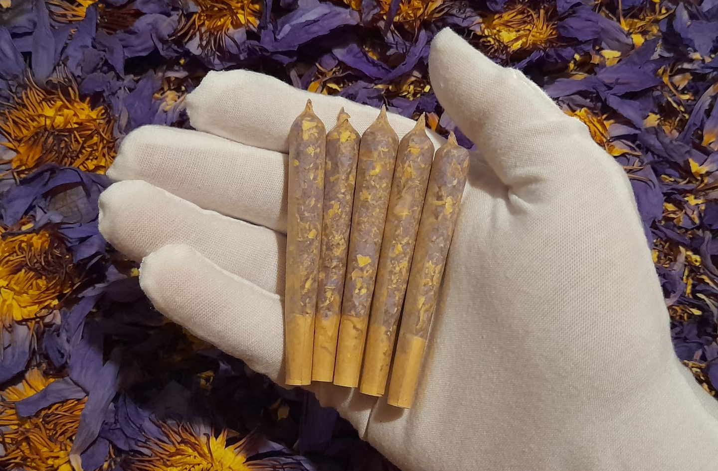 Blue Lotus Deluxe Sampling Box - Tea bags, Pre Rolls and Whole Flower