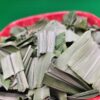 Dried/Cut Pandan Leaves (Screw Pine)
