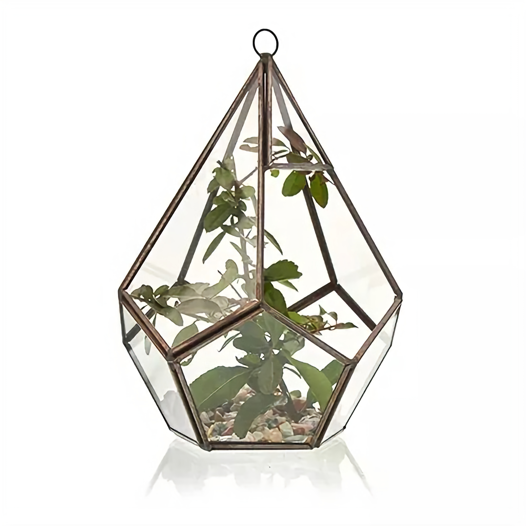Geometric Terrarium (Large Pentagon) - Glass/Brass, Freestanding/Hanging