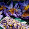 Blue Lotus Deluxe Sampling Box - Tea bags, Pre Rolls and Whole Flower