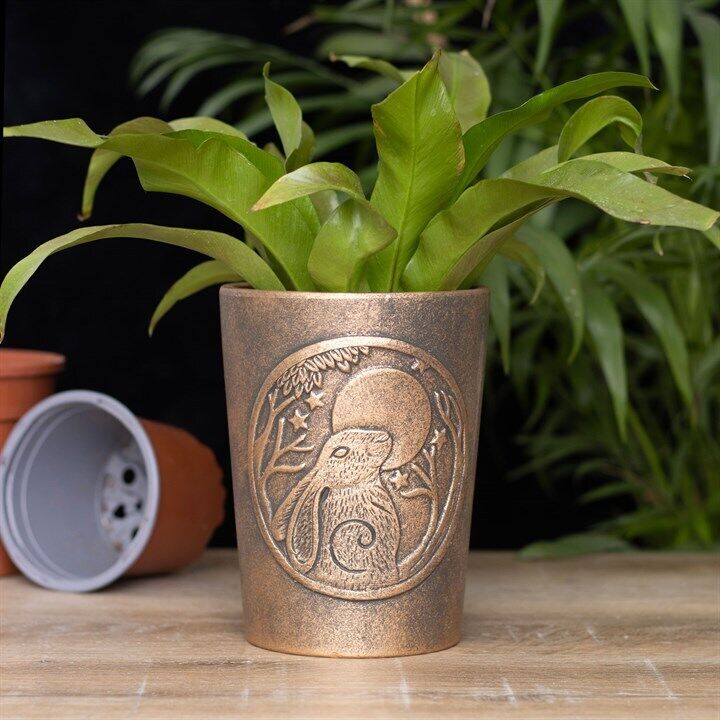 Bronze Terracotta Plant Pots by Lisa Parker