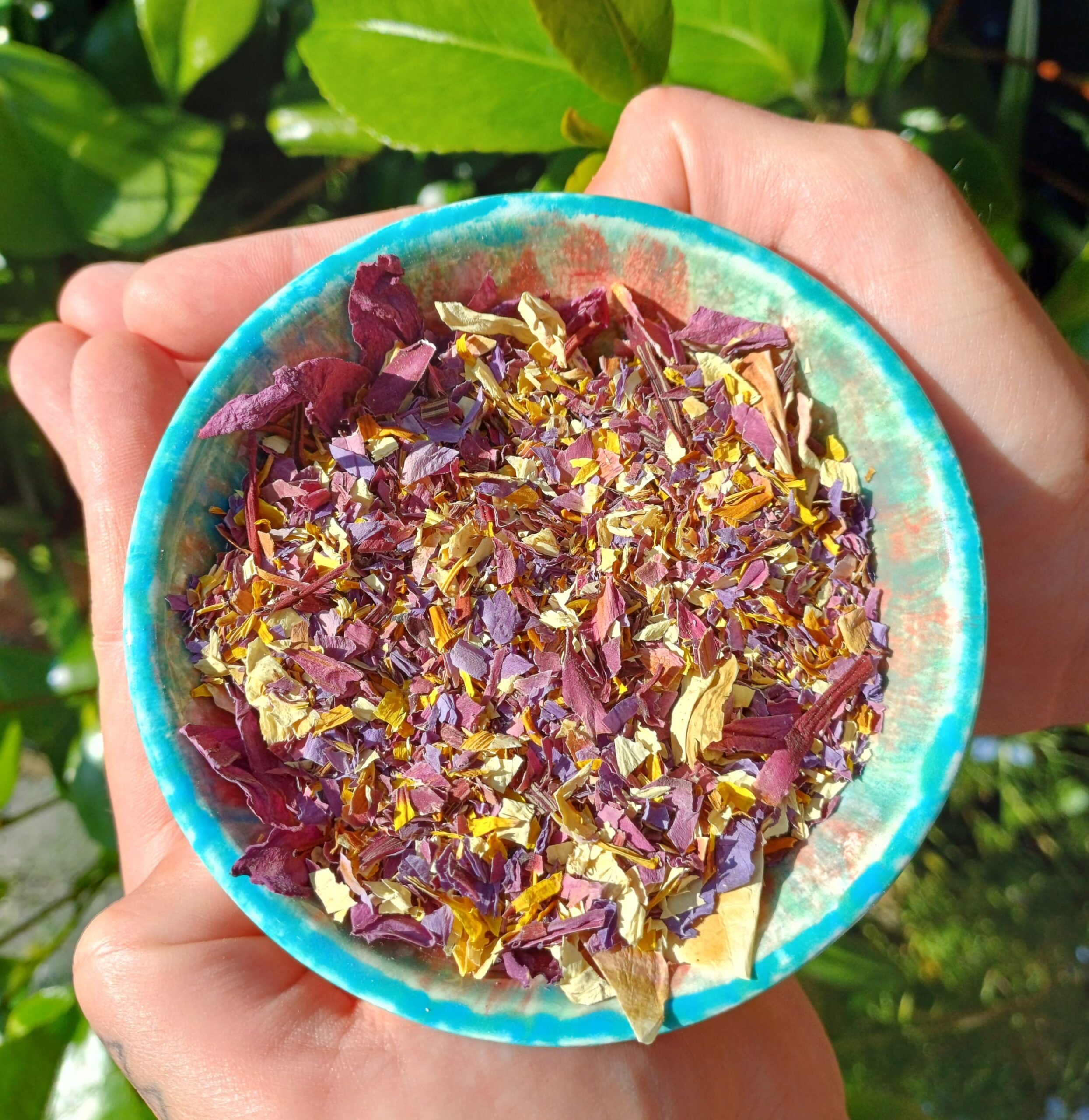 Trinity Pre-Ground Cut Blue, Red & White Lotus Flower - Blend Amsterdam Mix
