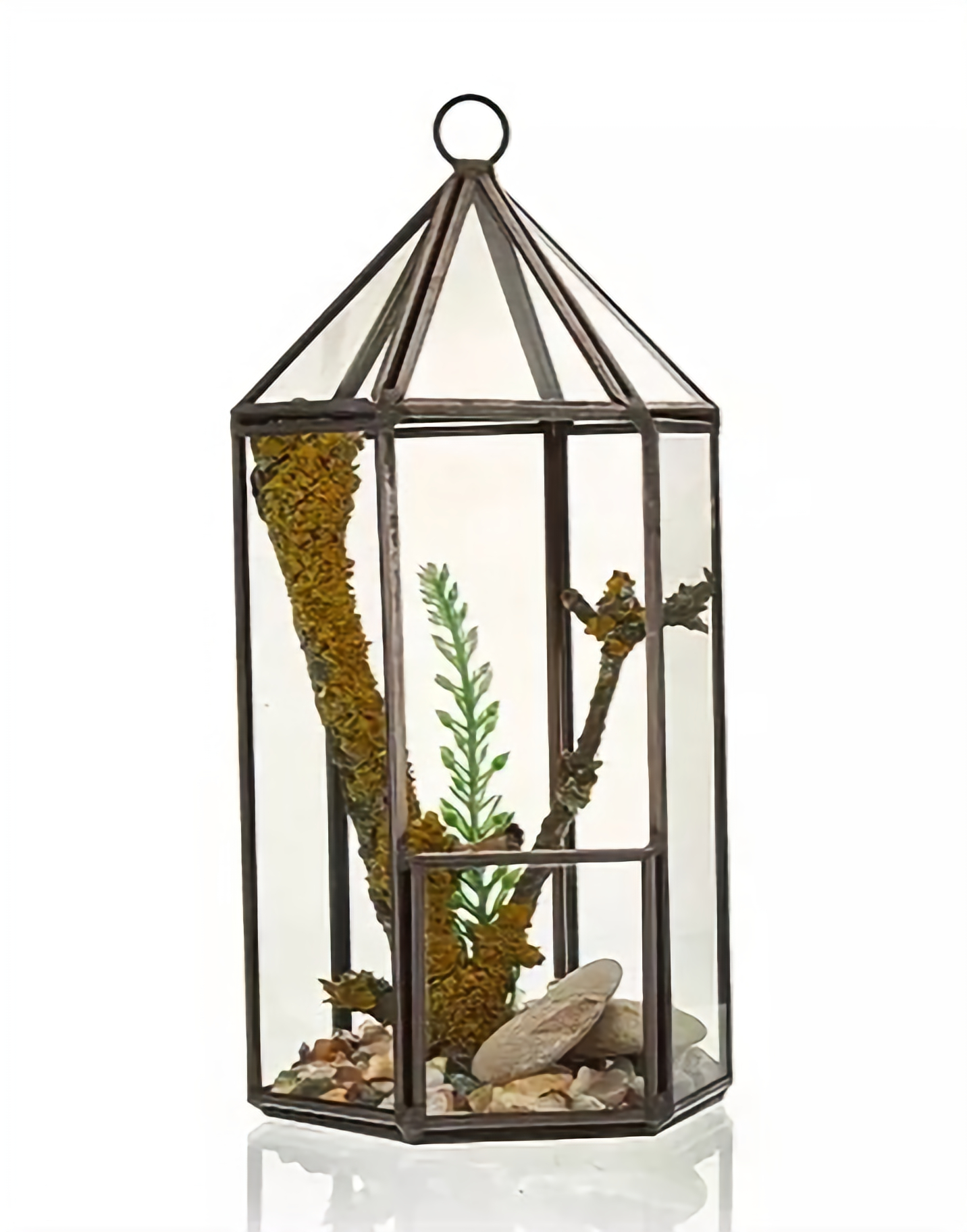 Geometric Terrarium (Lantern) - Glass/Brass, Freestanding or Hanging Centrepiece
