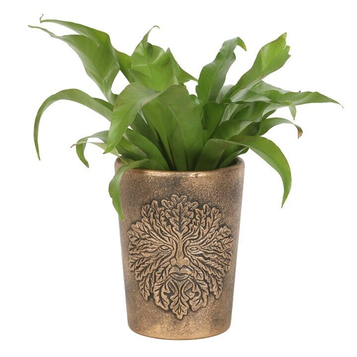Bronze Terracotta Plant Pots by Lisa Parker