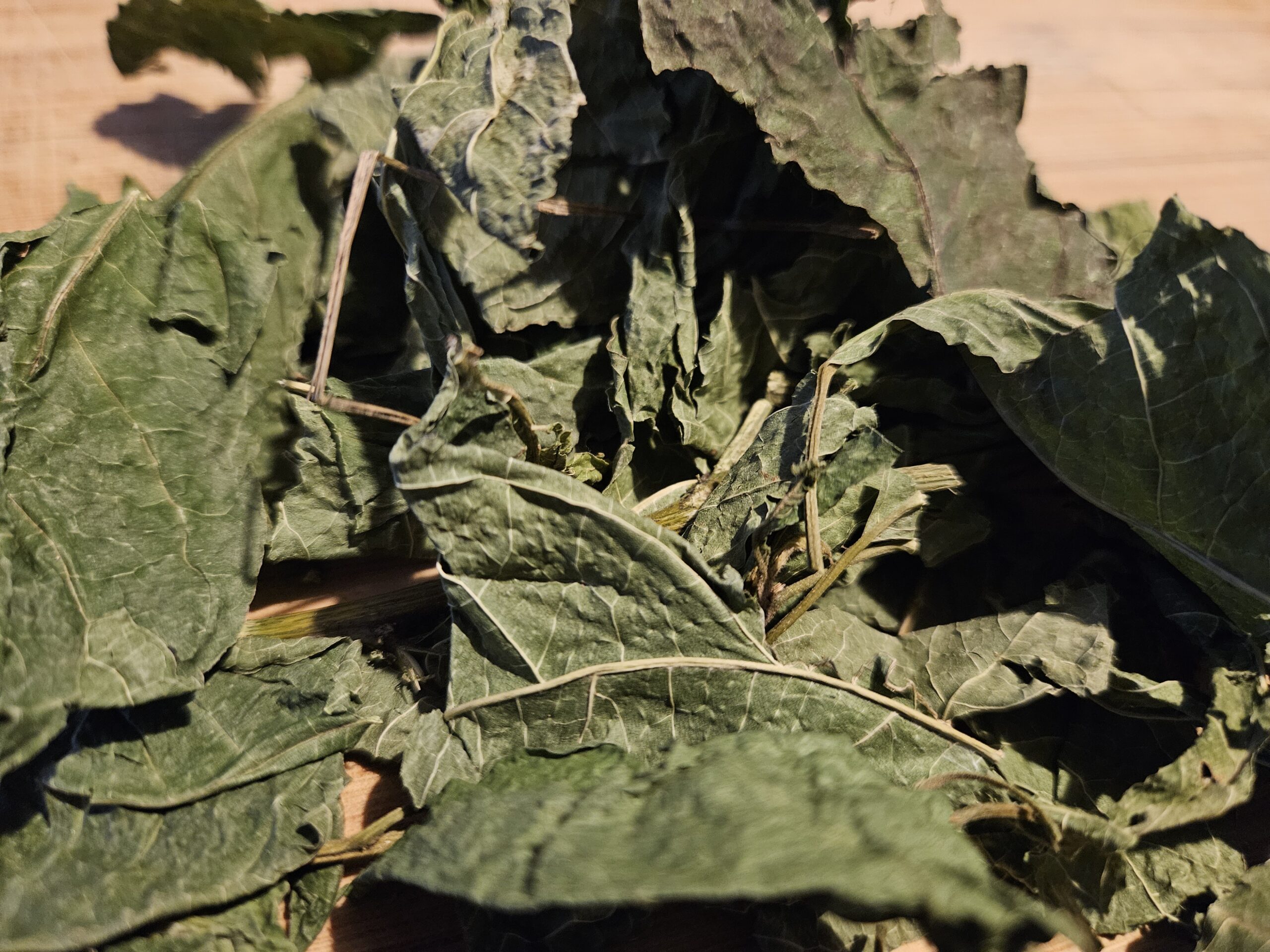 Guinea Hen Weed | Herbal Tea | Detox & Immunity | Fibroid PCOS Womb Cleanser