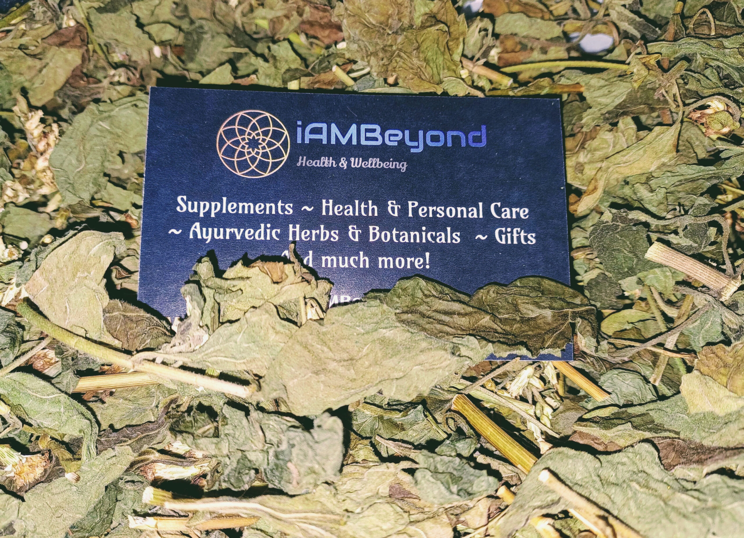 Whole Dried Mexican Dream Herb (Calea Zacatechichi) - Shamanistic Tools